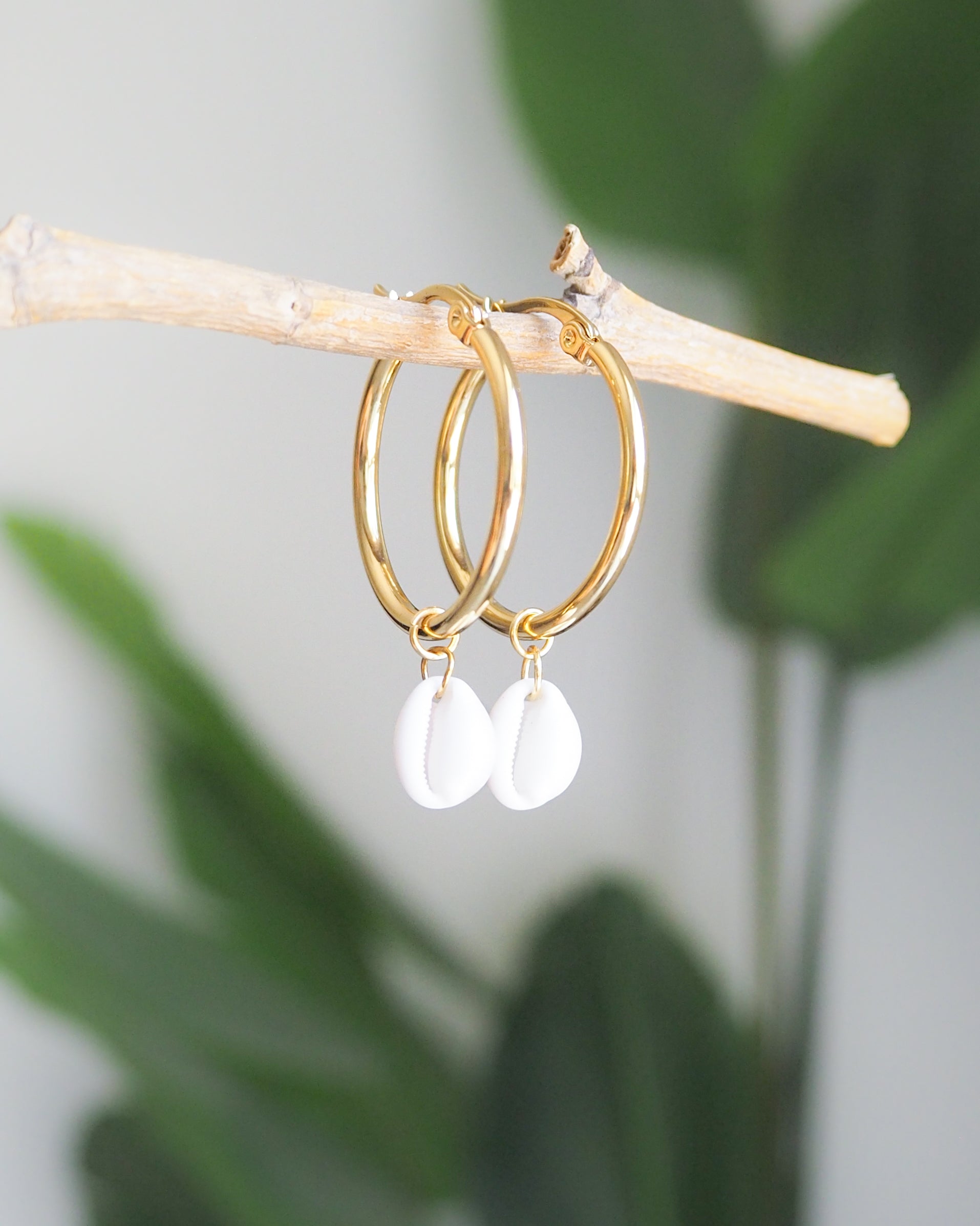 Cowrie 2024 Shell Hoops/14k Gold Filled