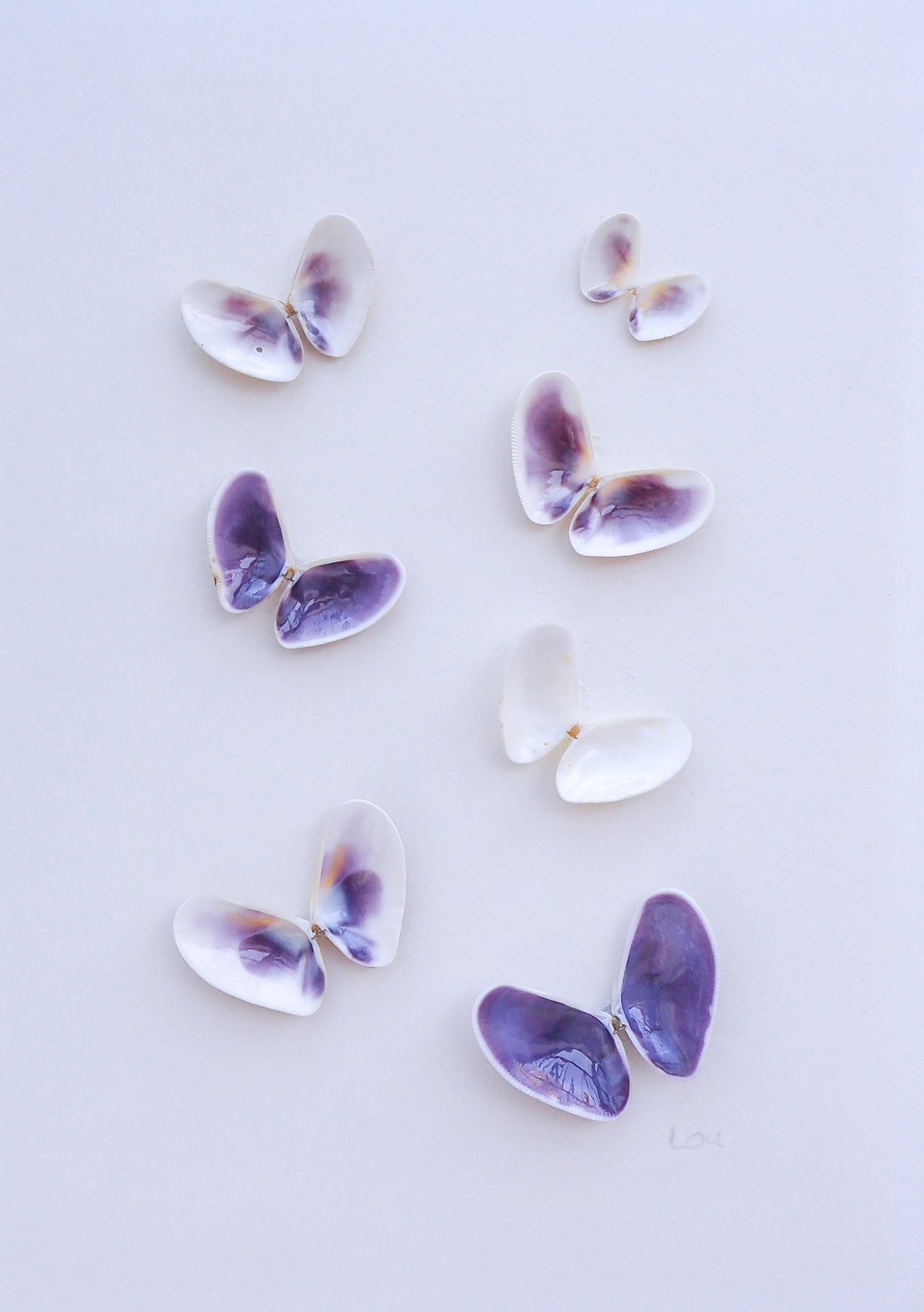 Purple Butterfly Shells Art details, Nursery room coastal wall art, Seashell Butterfly, Coquina shells 