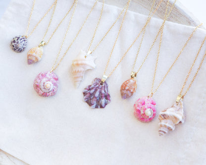 SEASHELL NECKLACE ~ Pink Magus Shell VII