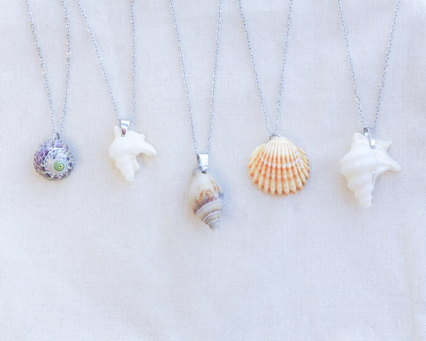 SEASHELL NECKLACE ~ Silver Purple Green Top Shell