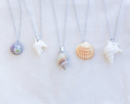 SEASHELL NECKLACE ~ Silver Purple Green Top Shell