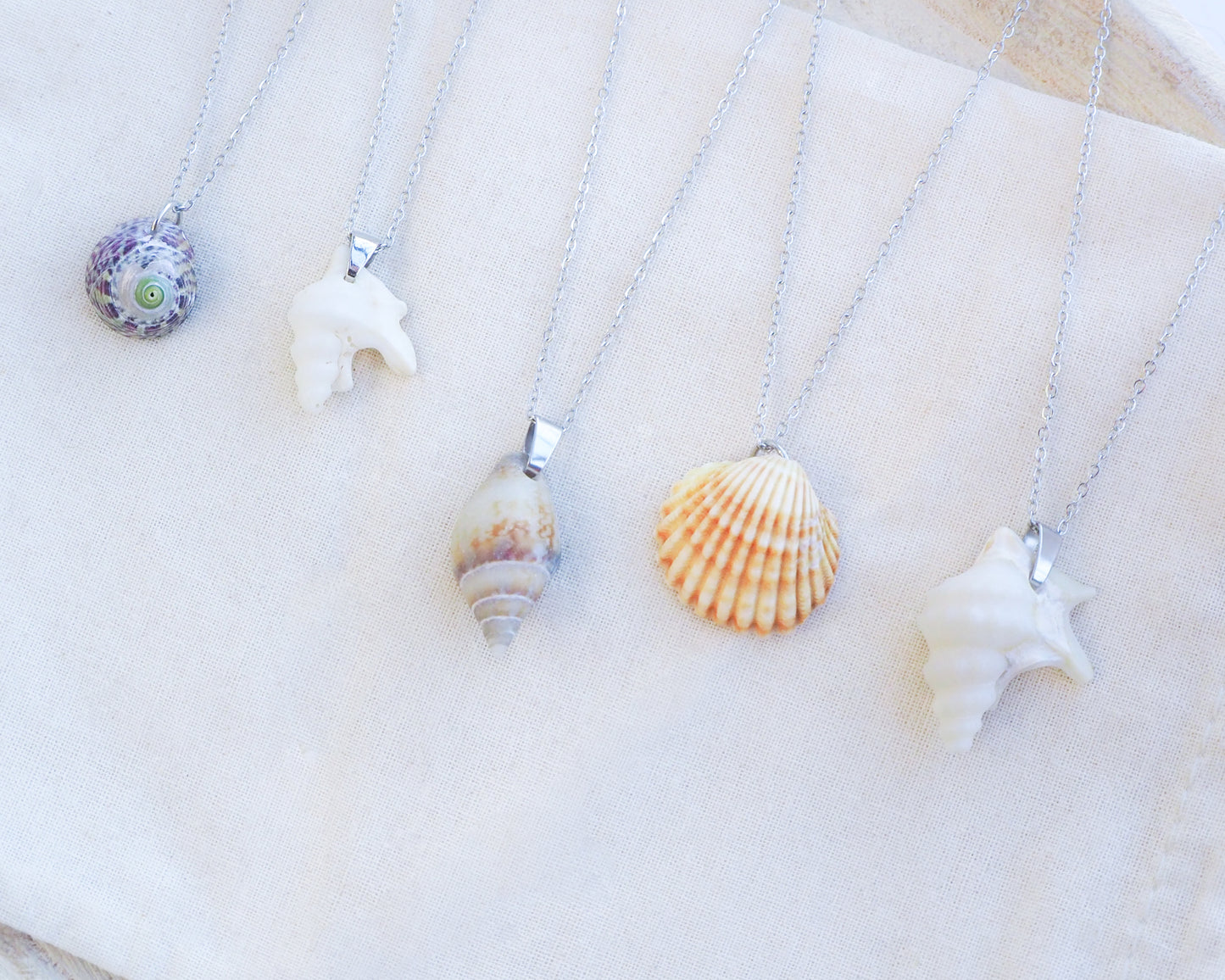 SEASHELL NECKLACE ~ Silver Purple Green Top Shell