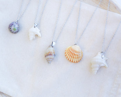 SEASHELL NECKLACE ~ Silver Purple Green Top Shell