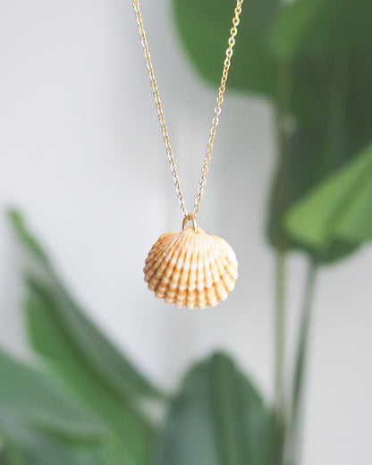 Sunny Yellow Shell from Portugal, Mediterranean Cockle Shell Gold Necklace