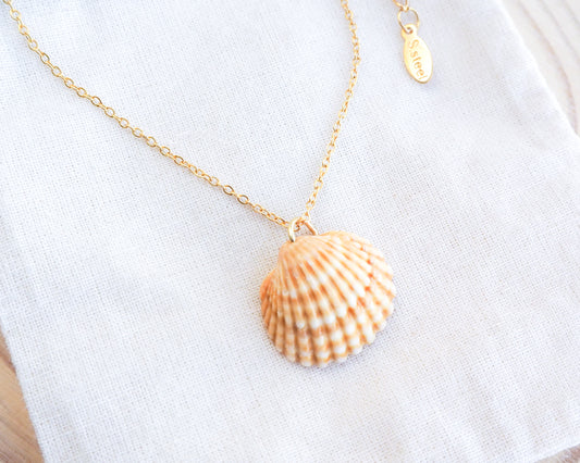 Mediterranean Cockle Shell Gold Necklace, Sunny Yellow Shell from Portugal