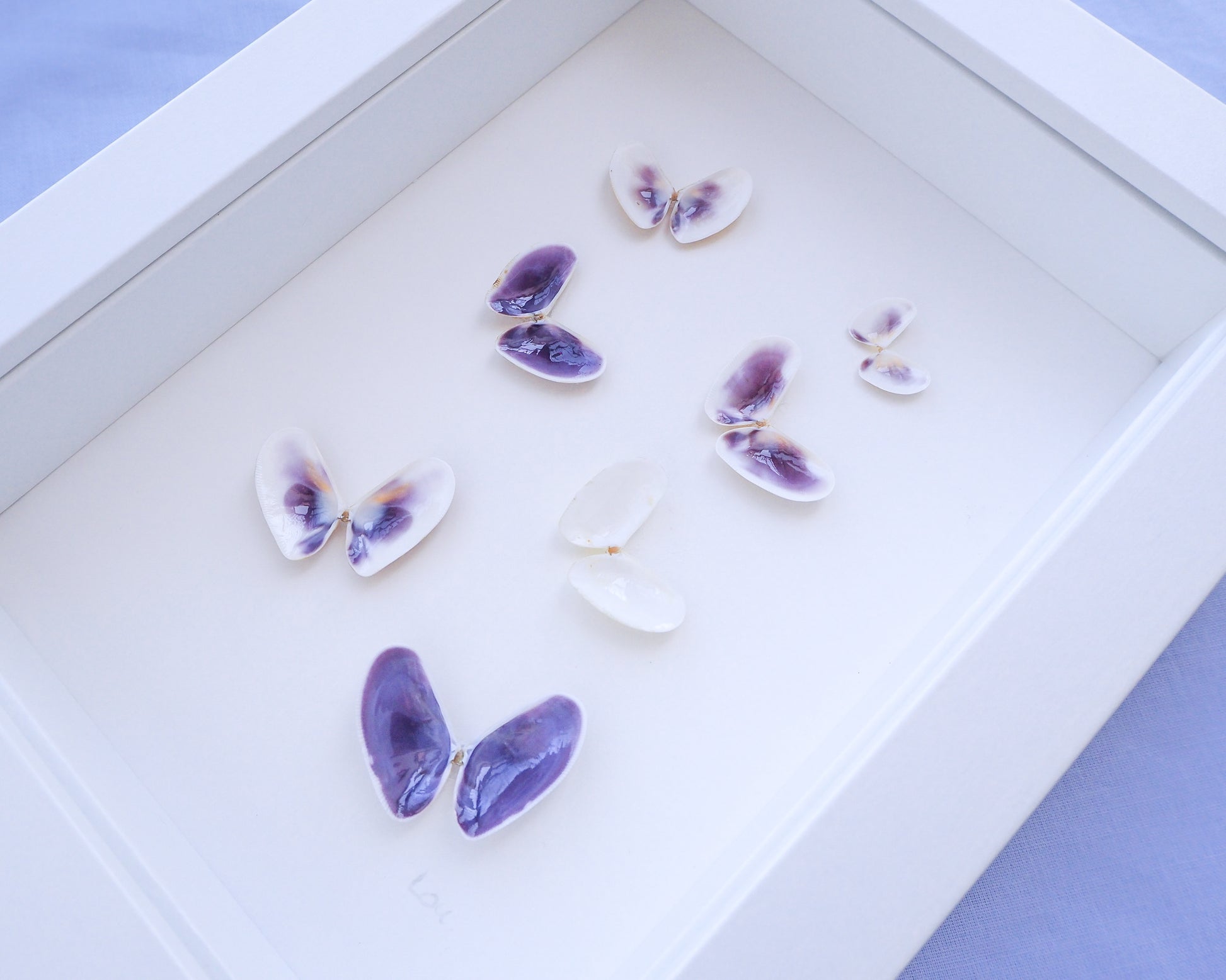 Purple Butterfly Shells Art left view, Nursery room coastal wall art, Seashell Butterfly, Coquina shells 