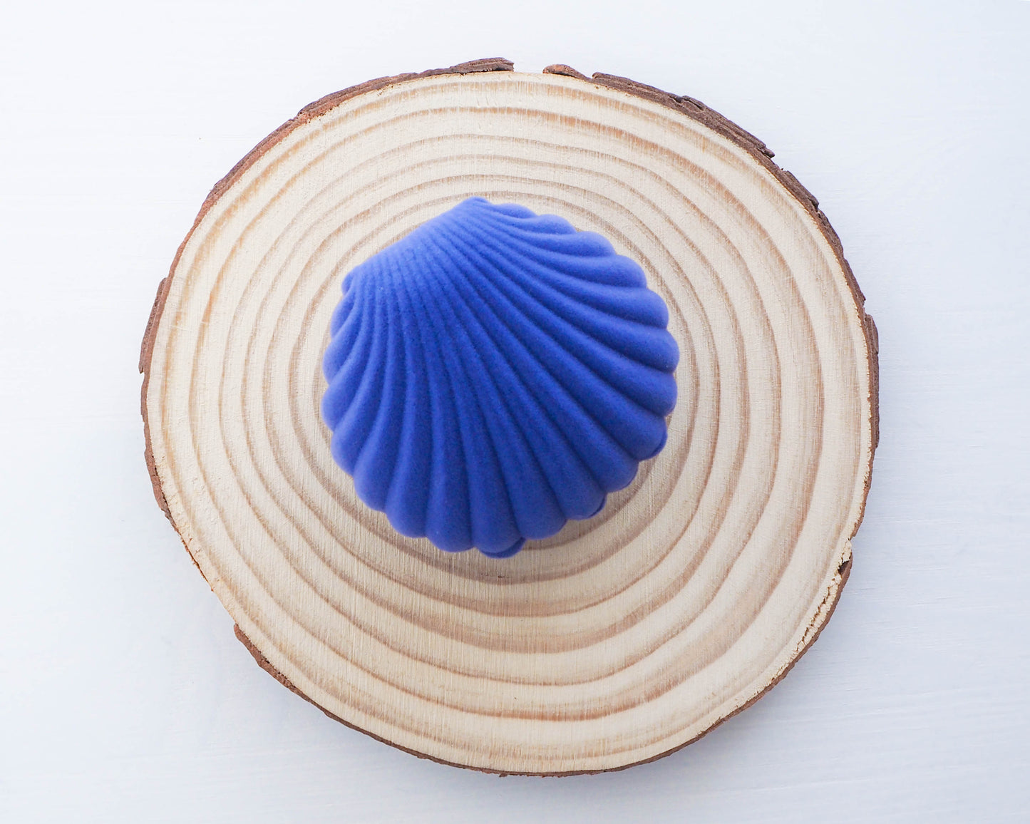 shell shaped jewelry box blue velvet seashell jewellery box