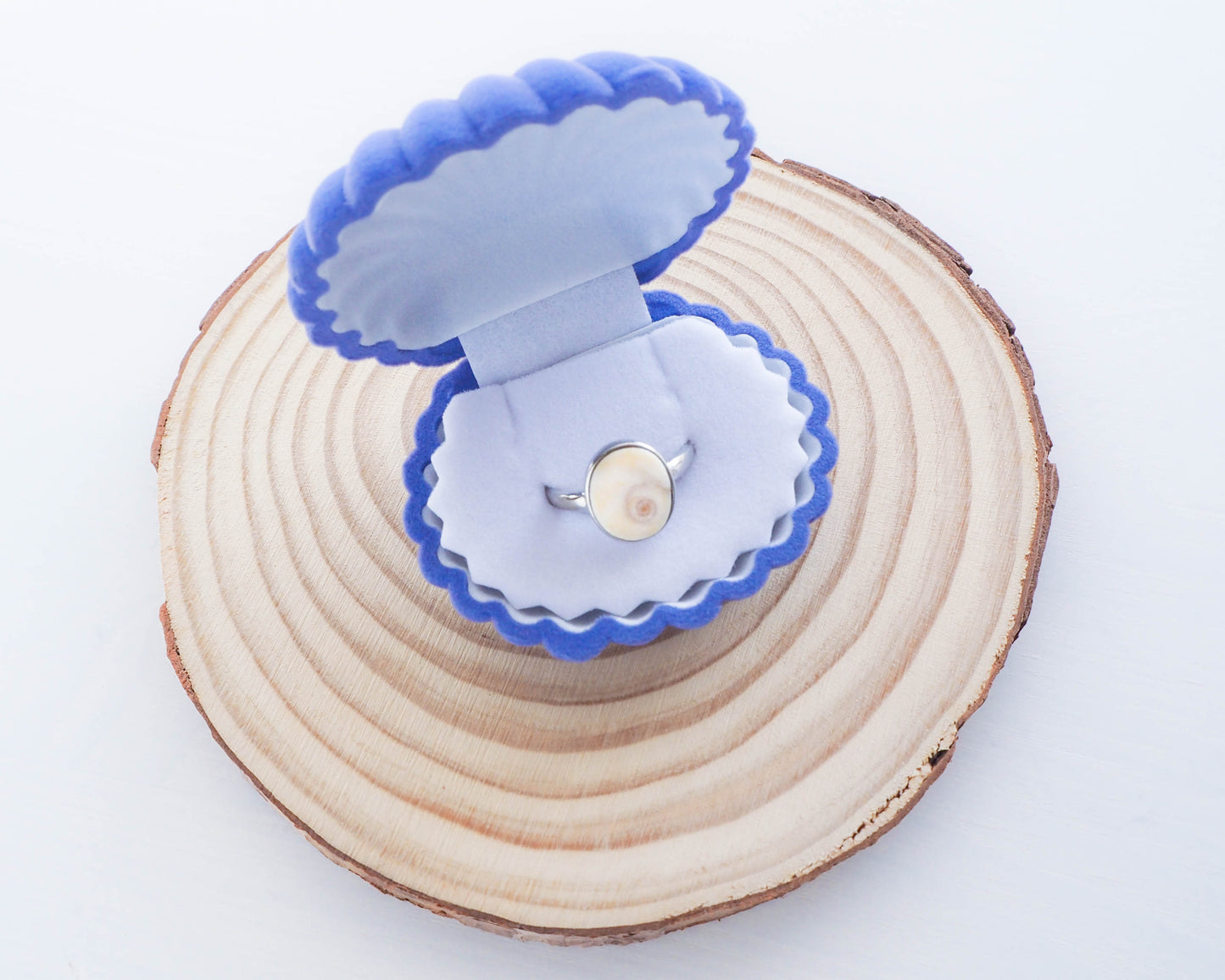 Blue Shell Shape Jewelry Display Gift Box Lovely Velvet Wedding Engagement Ring Earrings Necklace Bracelet Seashell Jewellery Box 