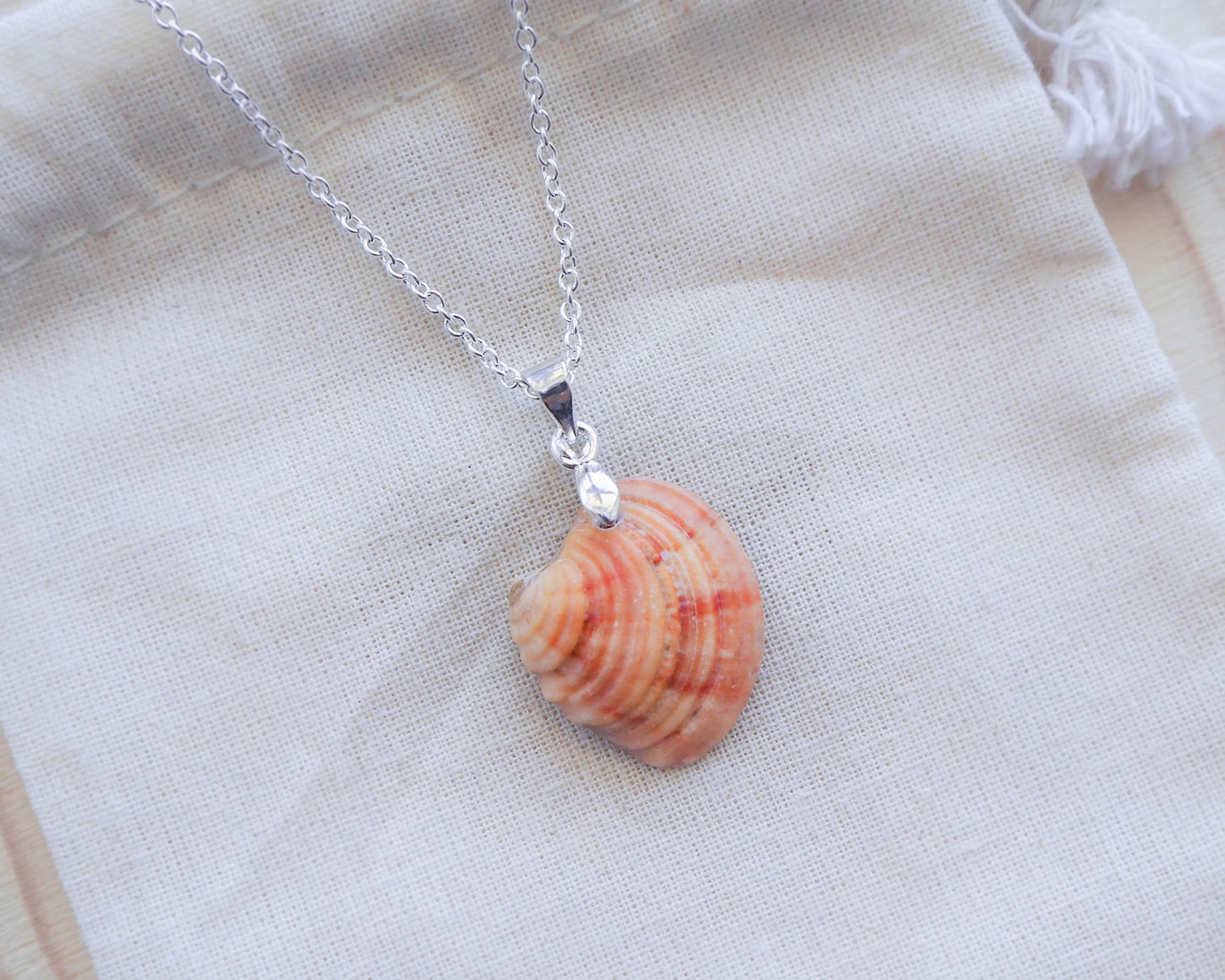 925 "Silver Banded Venus Shell Necklace - Seaside Charm Seabylou