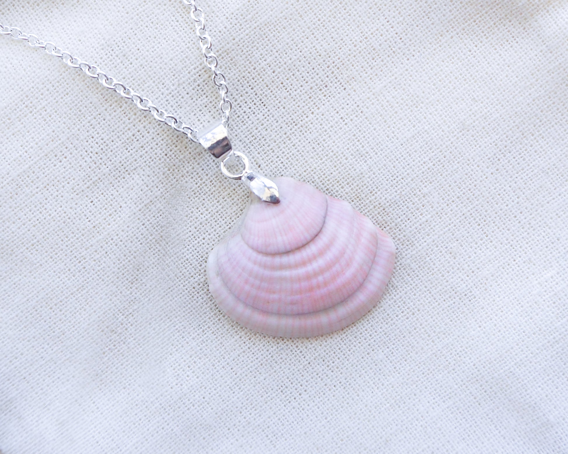 Pink Banded Venus Shell 925 Silver Pendant - Oceanic Elegance in Silver