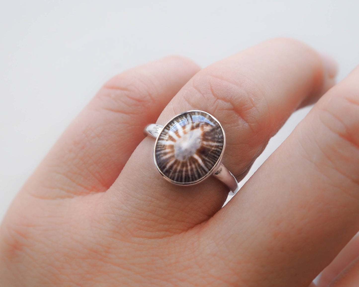 SEASHELL 925 SILVER RING ~ Limpet Shell