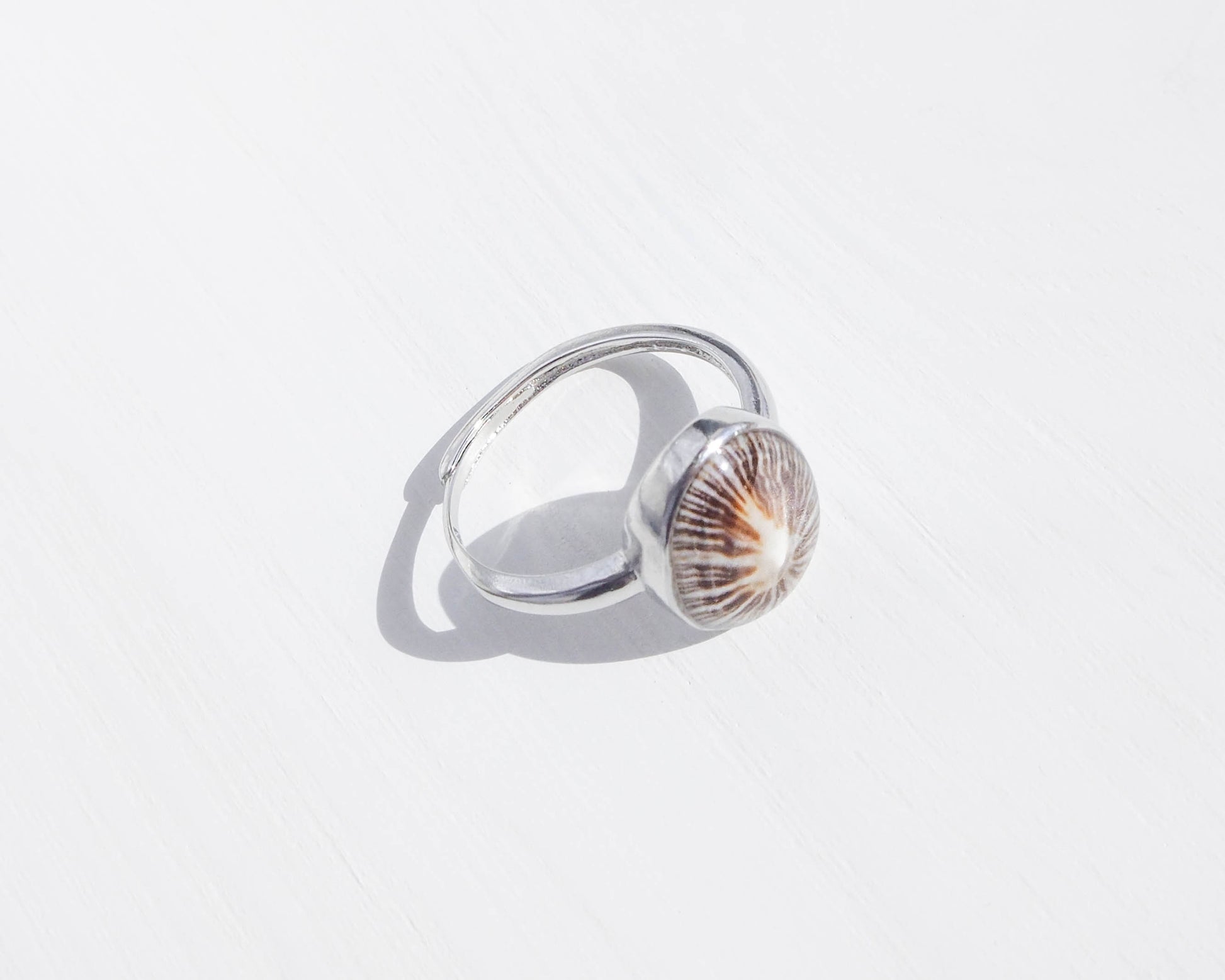 Beach Chic 925 Silver Ring with Limpet Shell Star - Oceanic Elegance and Coastal Glamour, Jewelry from Portugal, Seashell jewelry, Silver shell ring