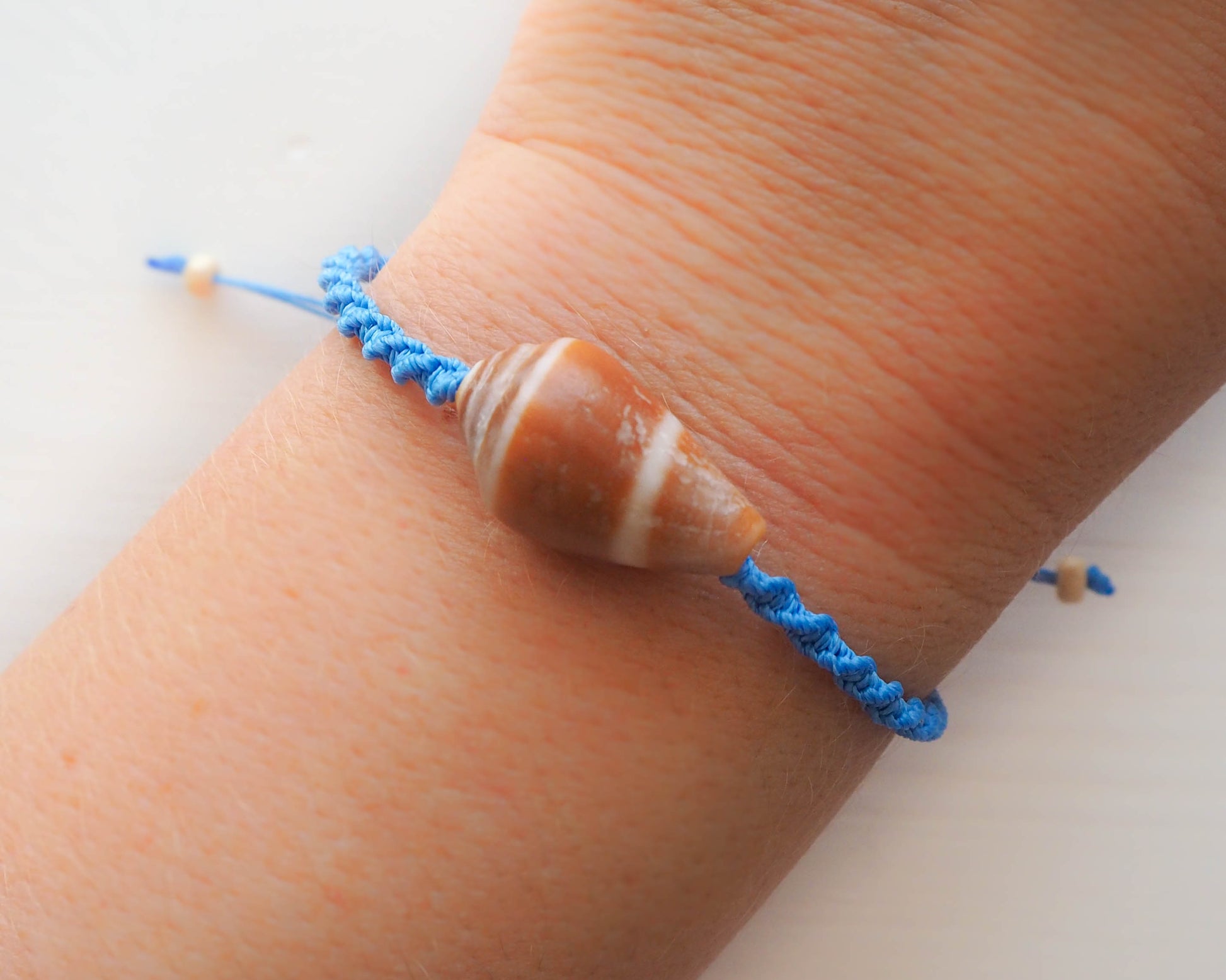 Close-up of Blue Cone Shell on Braided Bracelet, Coastal Elegance, Seashell Jewelry, Beachcomber's Treasure, Portugal Cone Shell Bracelet