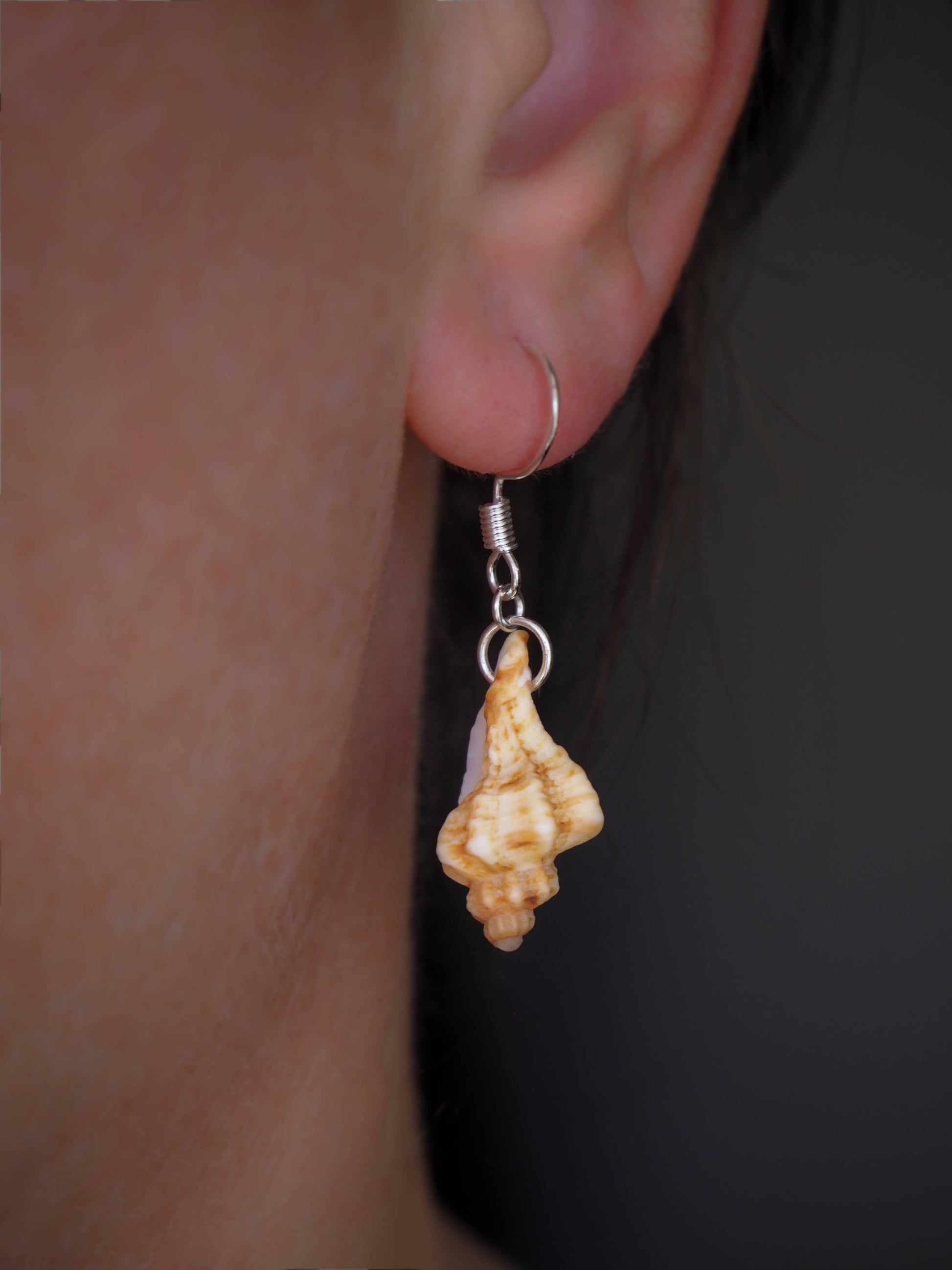 Handmade 925 Silver Earrings adorned with Sting Winkle Shells, Seaside Collection