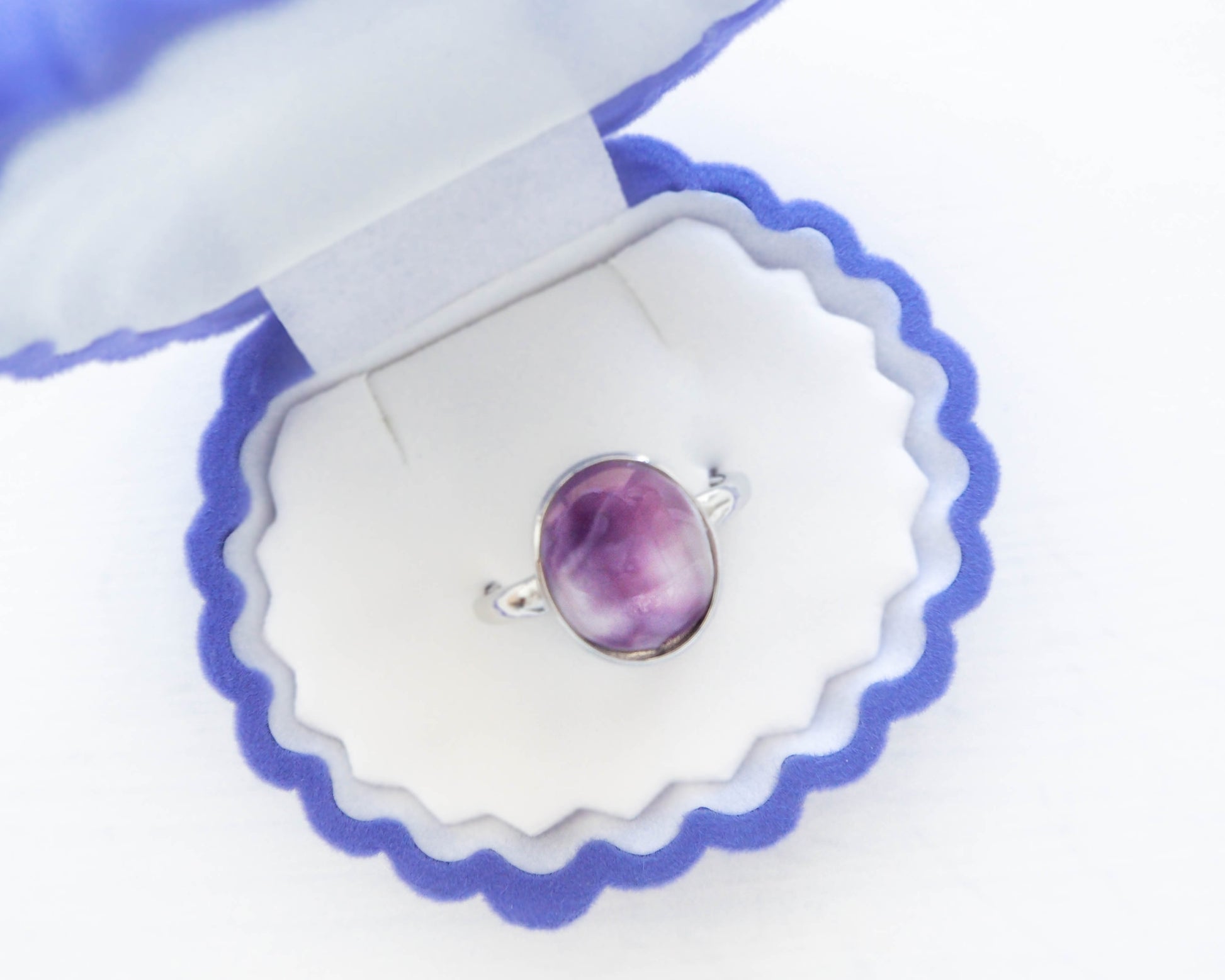 Puple Coquina Shell 925 Silver ring in Shell jewelry box. Real shell ring from Portugal, sea by lou