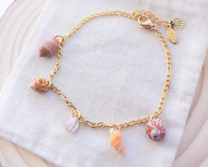 Tiny Shell Charm Gold Bracelet, Stainless Steel, Real shells from Portugal, Cowrie shell, Cone shell , Ocean Inspired Shell Jewellery