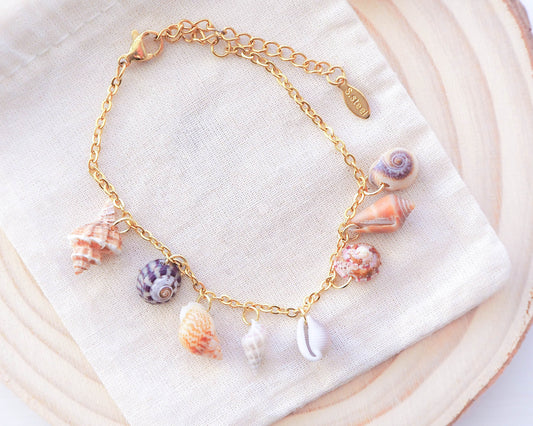 Shell Jewelry - Gold Stainless Steel Charm Bracelet with 8 Tiny Shells: Mediterranean Cone, European Cowrie, Flat Topshell, Rustic Dove, Common Wentletrap, Sting Winkle, European Painted Topshell, Nassa Mud Shell, Sea by Lou 2024 collection, Seashell jewelry, ocean-inspired jewelry portugal