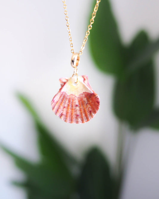 Gold Stainless Steel Necklace with Vibrant Colored Scallop Shell - Coastal Elegance, sea by lou, Ocean Inspired Shell Jewelry