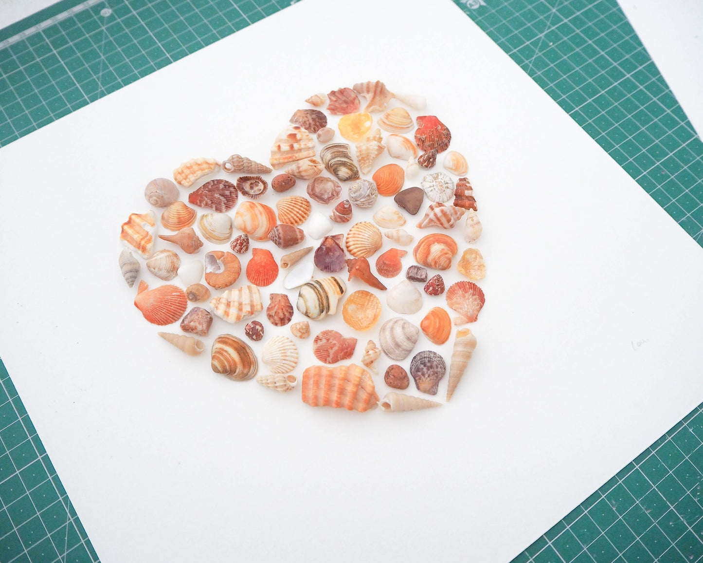 Terra Seashell Heart ~ Special for Stephanie