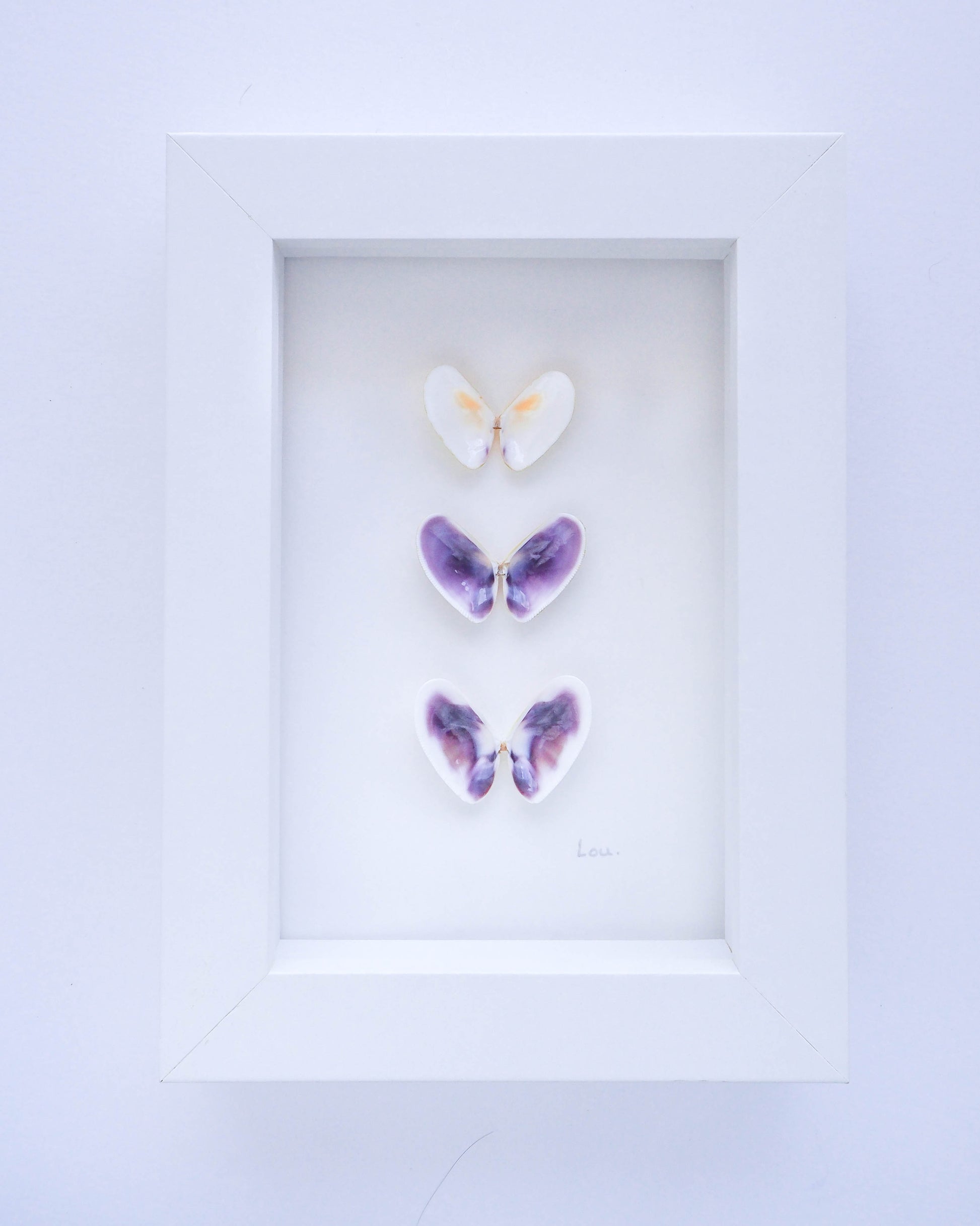 Shell Butterflies in frame coastal artwork from Portugal, Coastal Decor Sea by Lou, Seabylou