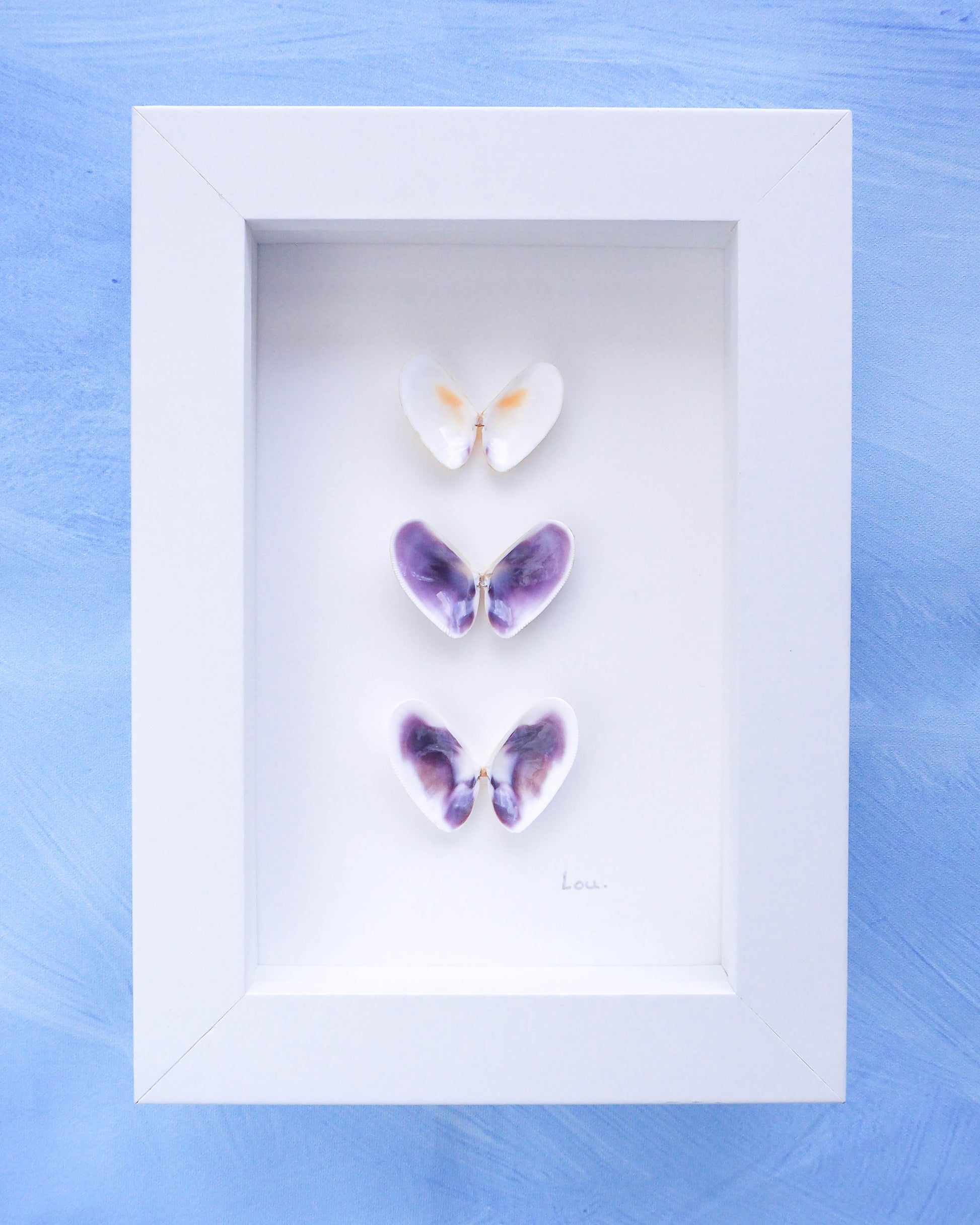 Coastal shell decor, artwork with shells, Seashell butterflies, Shell butterfly art from Portugal, Coquina butterfly artwork, seabylou, Sea by Lou 