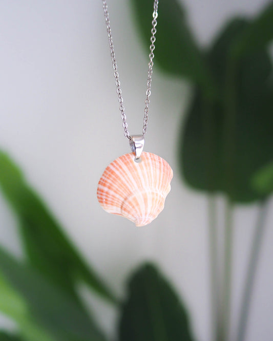 White Pink Striped Shell Silver Necklace, Ocean Inspired Jewelry, Stainless Steel chain, Shell from Portugal, Sea by Lou, Coastal Style