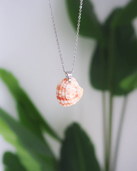 White Pink Shell Silver Necklace with a Venus Shell from Portugal, seabylou ocean inspired jewelry, real shell necklace 
