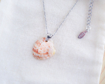 White Pink Shell Silver Necklace, Ocean Inspired Jewelry, Stainless Steel chain, Shell from Portugal, Sea by Lou