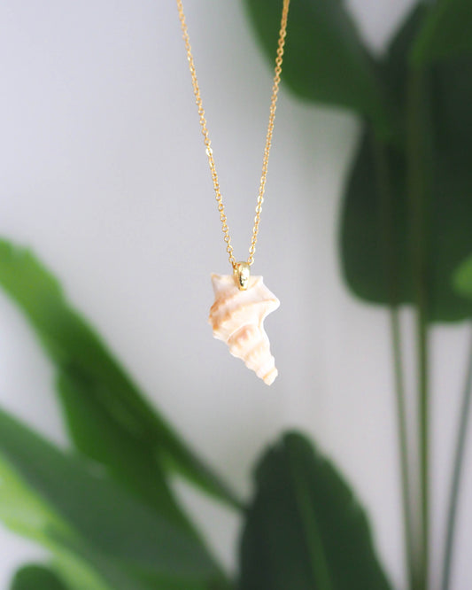 SEASHELL NECKLACE ~ Gold Pelican's Foot Shell