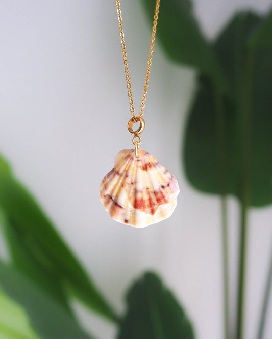 Brown Animal Print Shell Necklace, Scallop Shell from Portugal, Gold Stainless Steel chain, Seabylou