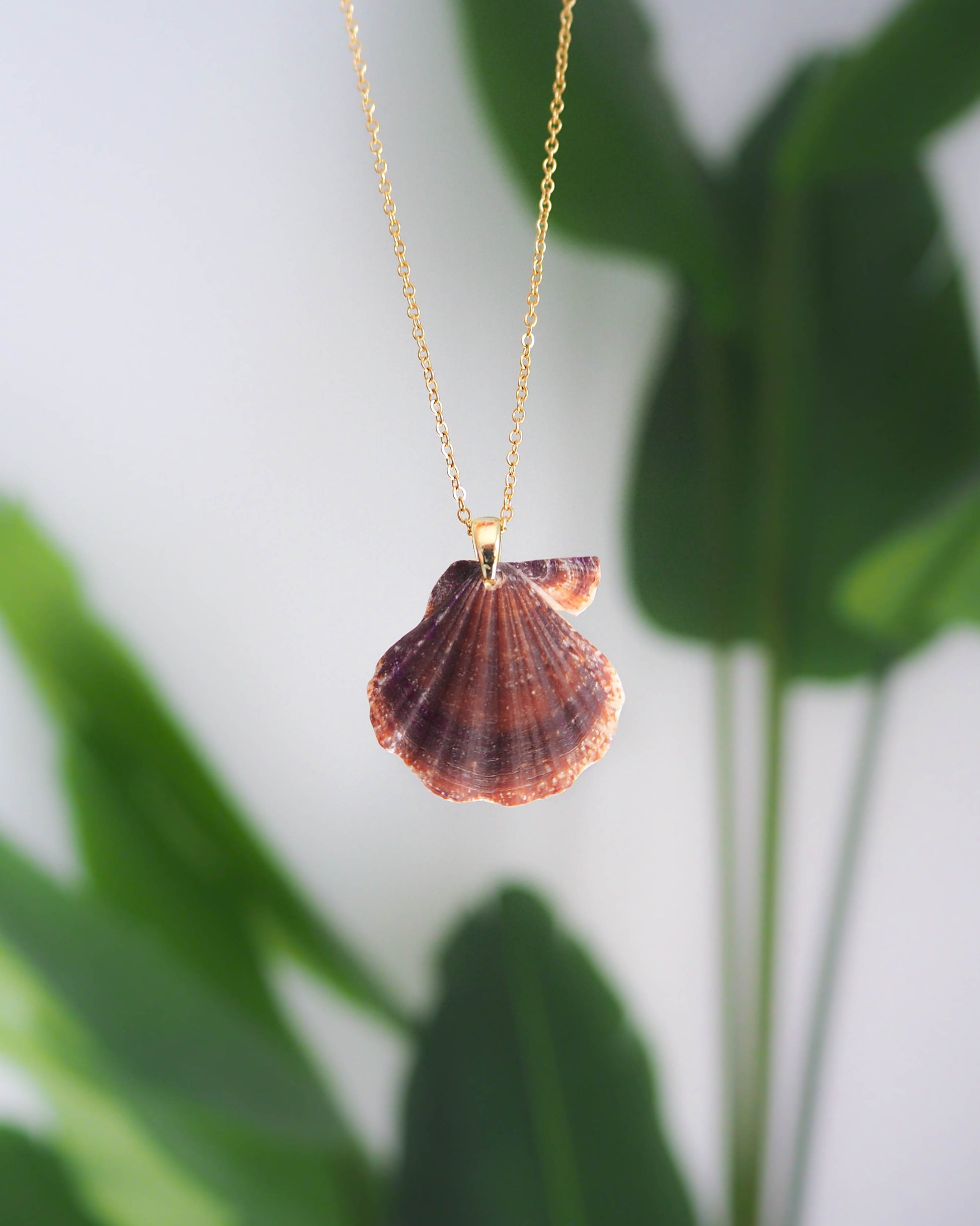 Brown Scallop Shell Gold Necklace, Real Shell from Algarve, Portugal. Scallop Shell Necklace, Stainless Steel chain, Animal Print Seashell