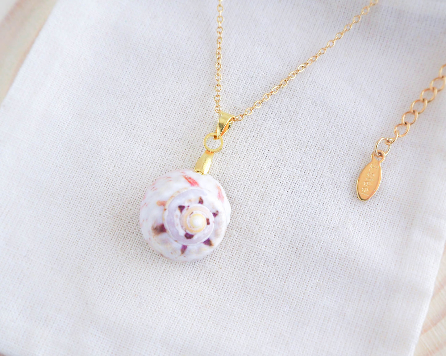 SEASHELL NECKLACE ~ White Pink Magus Shell