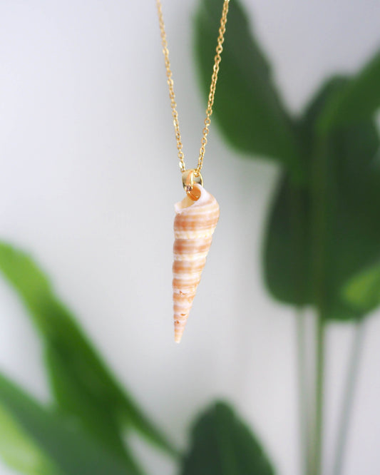 Common Tower Shell on Gold Stainless Steel Necklace, Real Shell from Algarve