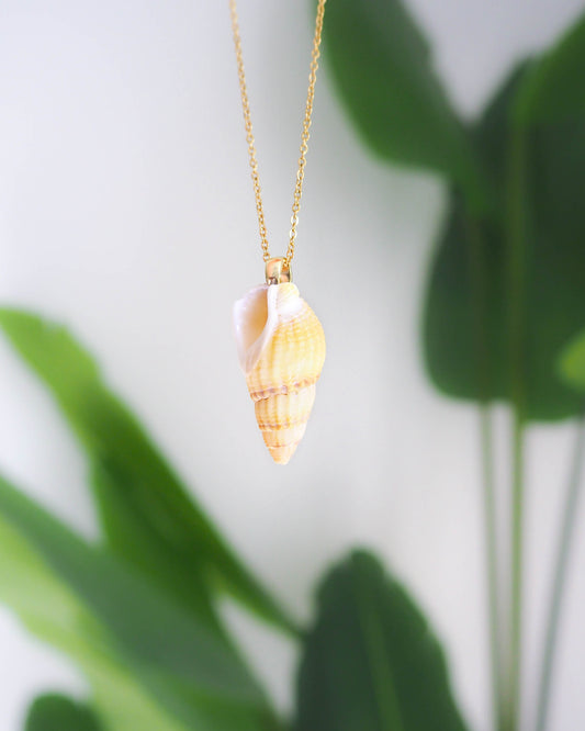 Gold Necklace with Netted Dogwhelk Shell from Portugal, Seabylou, Coastal jewellery, Necklace with real shell