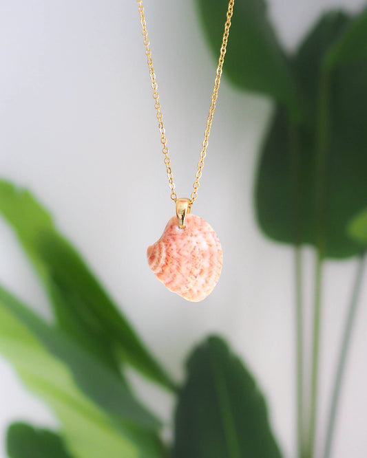 Peach Pink Shell Silver Necklace with a Venus Shell from Portugal, seabylou ocean inspired jewelry, real shell necklace