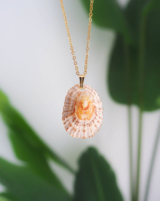 Rustic Limpet Shell Necklace with Gold Stainless Steel Chain, Ocean Inspired Jewelry, Sea by Lou