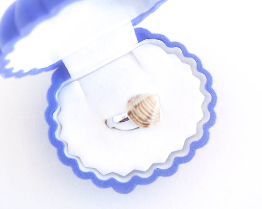 Real Shell Ring from Portugal, White Brown Venus Shell, Adjustable Seashell Ring, Beach Girl Jewelry, Coastal Jewellery, Little Mini Shell on Silver Ring