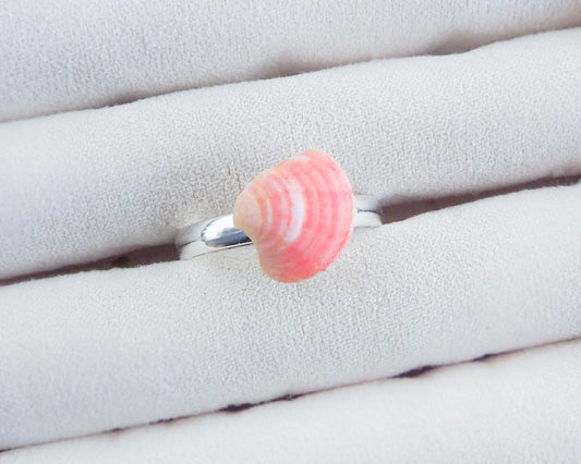 Real Pink Shell Ring, Sea by Lou, Venus Shell Ring, adjustable ring on display, mini seashell ring, shell from portugal, beach girl gift from portugal,