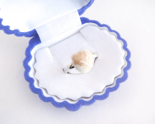 Real Shell Ring from Portugal, Adjustable Seashell Ring, Beach Girl Jewelry, Coastal Jewellery, Little Mini Shell on Silver Ring