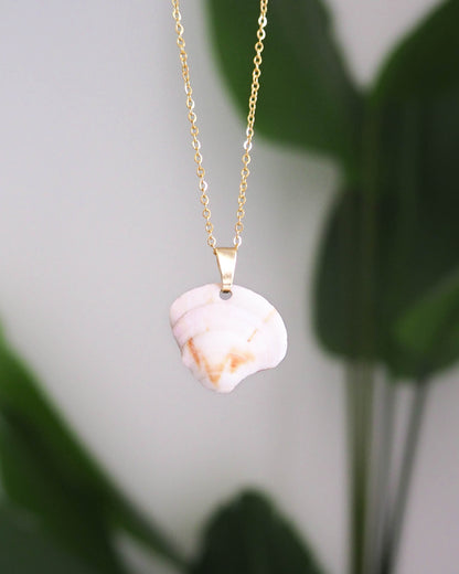 SEASHELL NECKLACE ~ Soft Peach Venus Shell