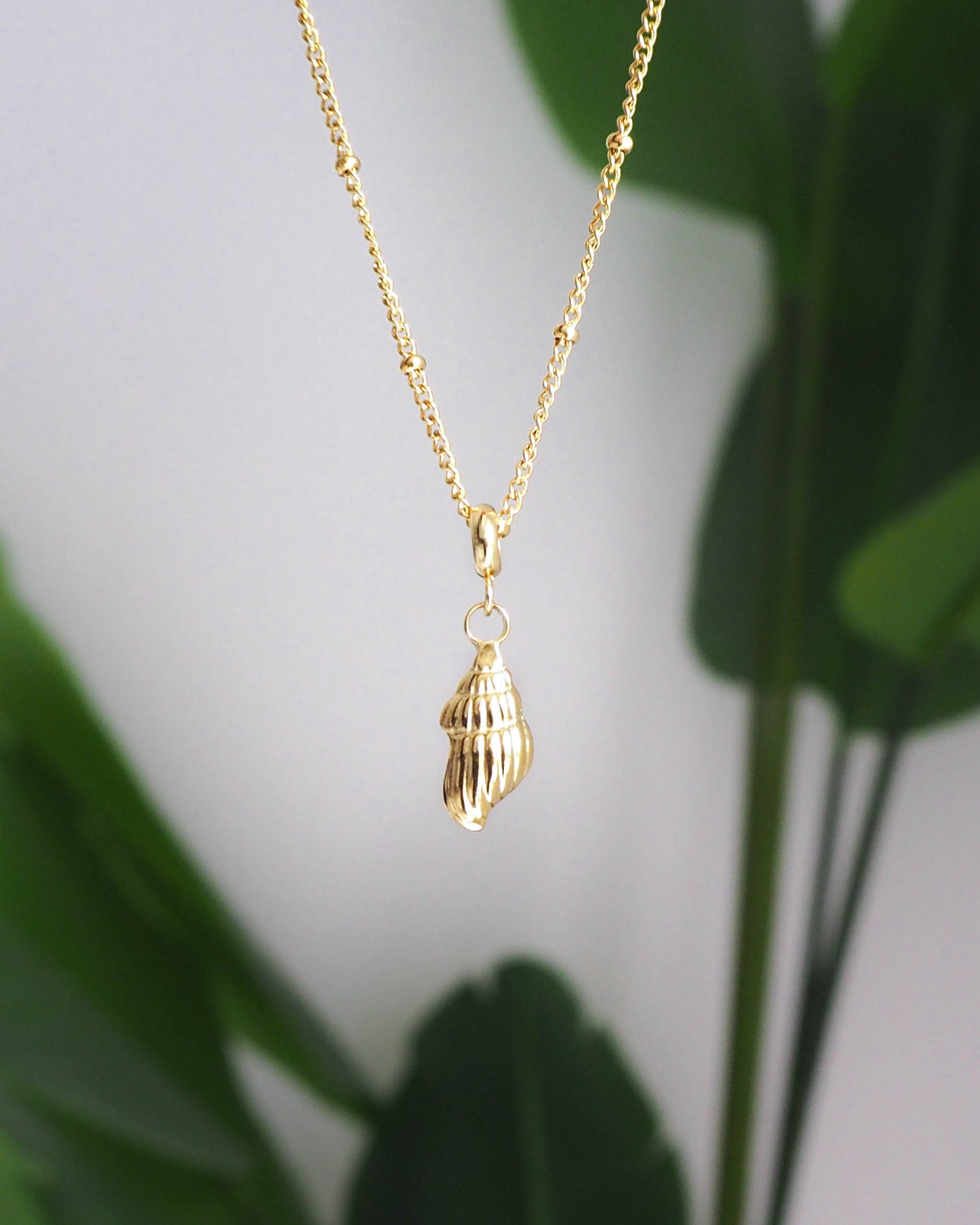 Close-up of Conch Shell Gold Necklace made with hypo allergen High-Quality Stainless Steel Jewelry, Shell Necklace