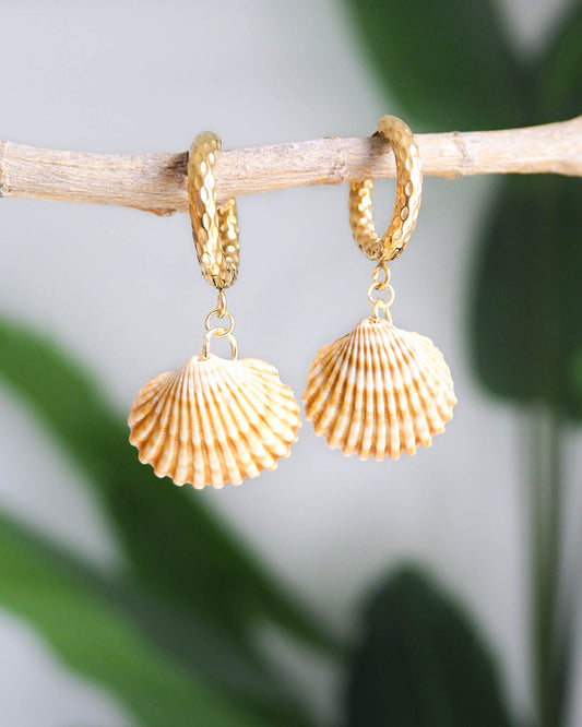 Mediterranean Cockle Shell Gold Earrings with Gold Loop Hooks – Ocean Inspired Jewelry