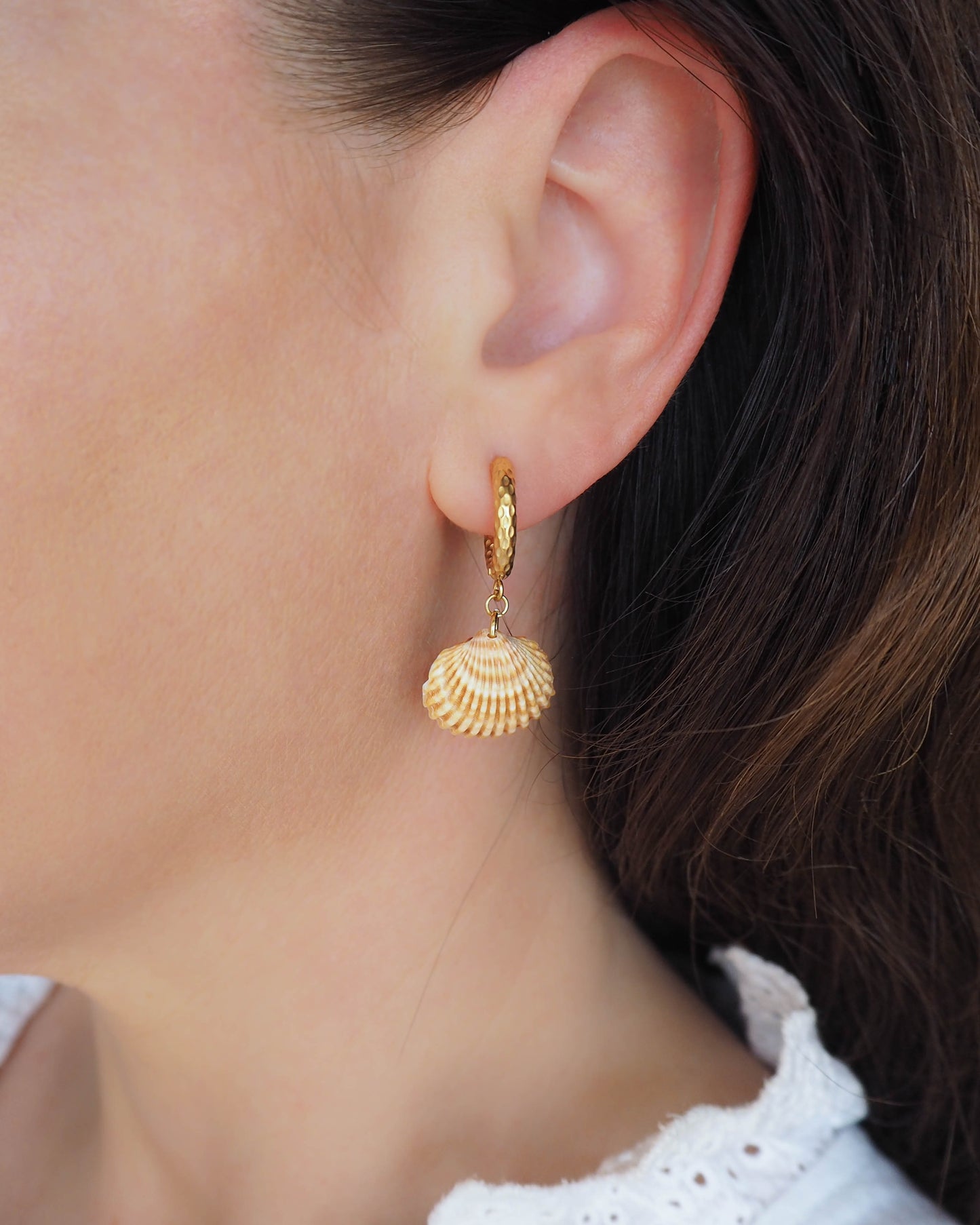 Gold Seashell Earrings with Cone Shells from Portugal