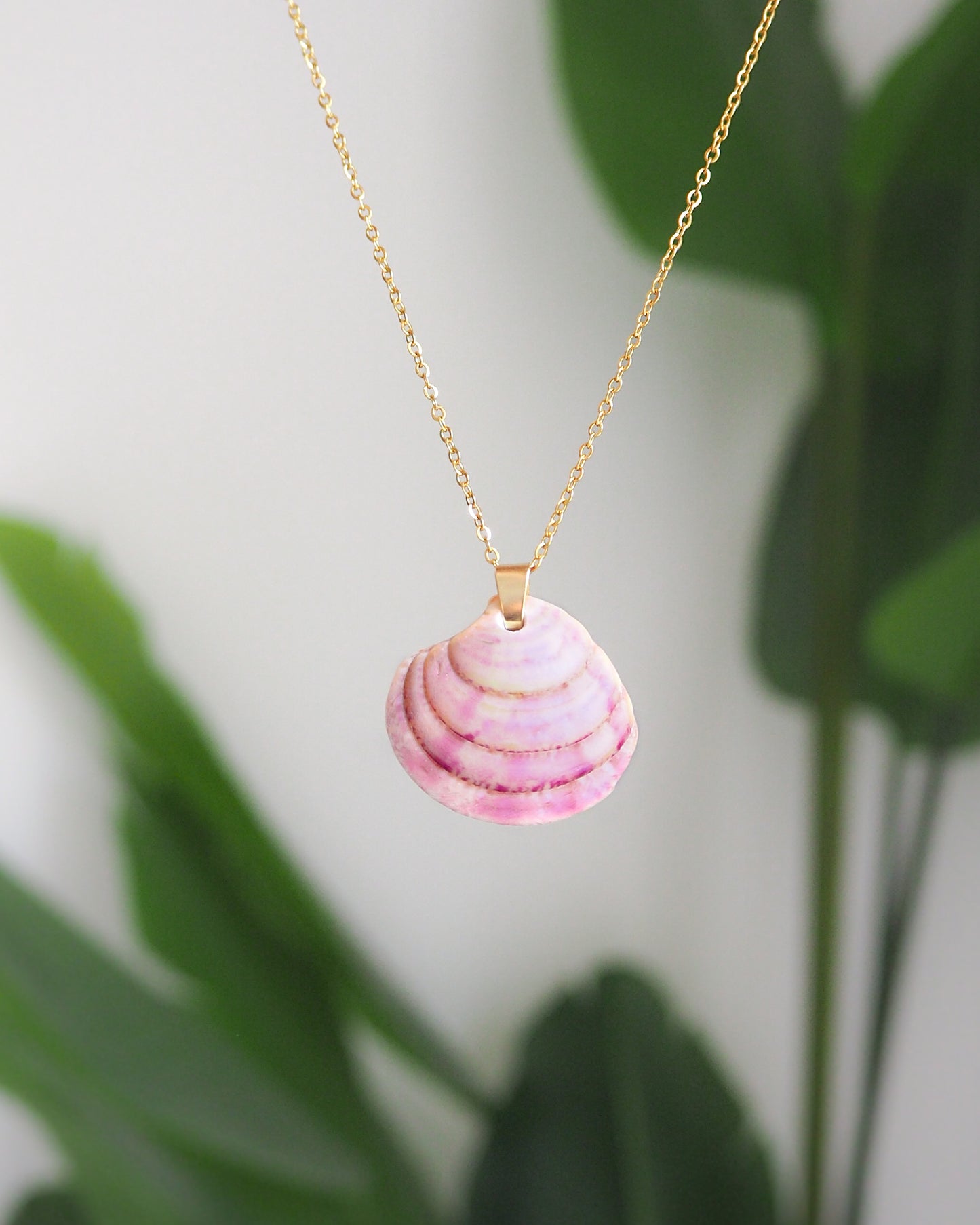 Pink Venus Shell Gold Necklace from Portugal, Real Shell Jewelry, Sea by Lou, seabylou, Beach Girl Jewelry
