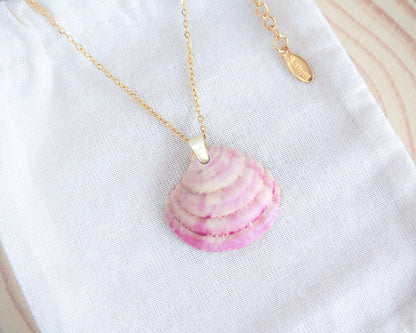 Pink Venus Shell Gold Necklace on display, Real Shell Jewelry, Sea by Lou, seabylou, Beach Girl Jewelry