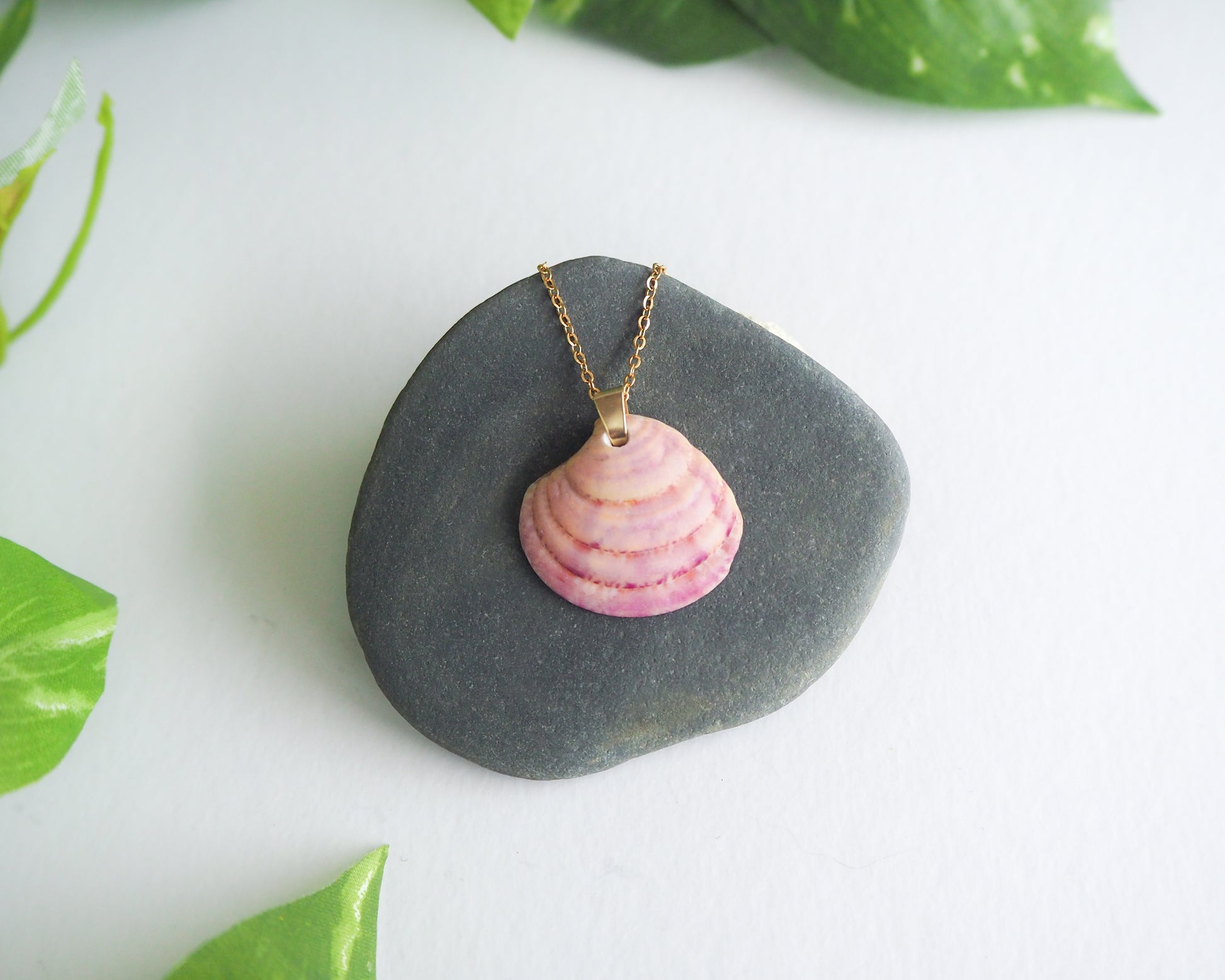 Pink Venus Shell Gold Necklace front view, Real Shell Jewelry, Sea by Lou, seabylou, Beach Girl Jewelry