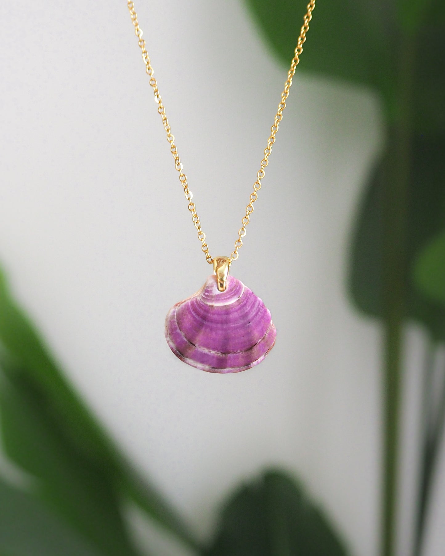 Purple Plum Venus Shell Gold Necklace from Portugal, seabylou ocean inspired jewelry, real shell necklace
