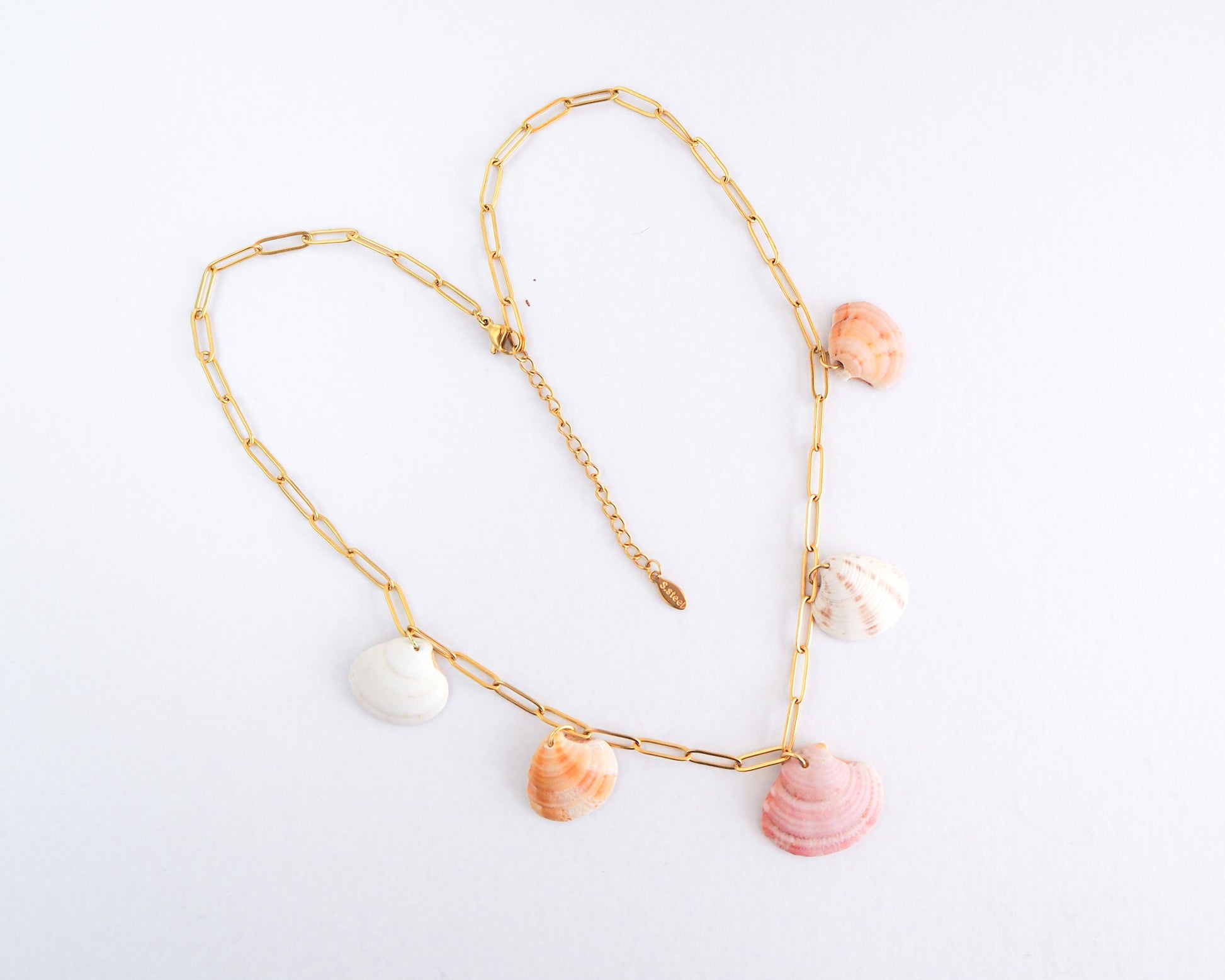 Venus Shell Charm Necklace with Gold Chain, Real Shell Jewelry, Sea by Lou