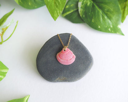 Pink Venus Shell Gold Necklace on stone, seabylou