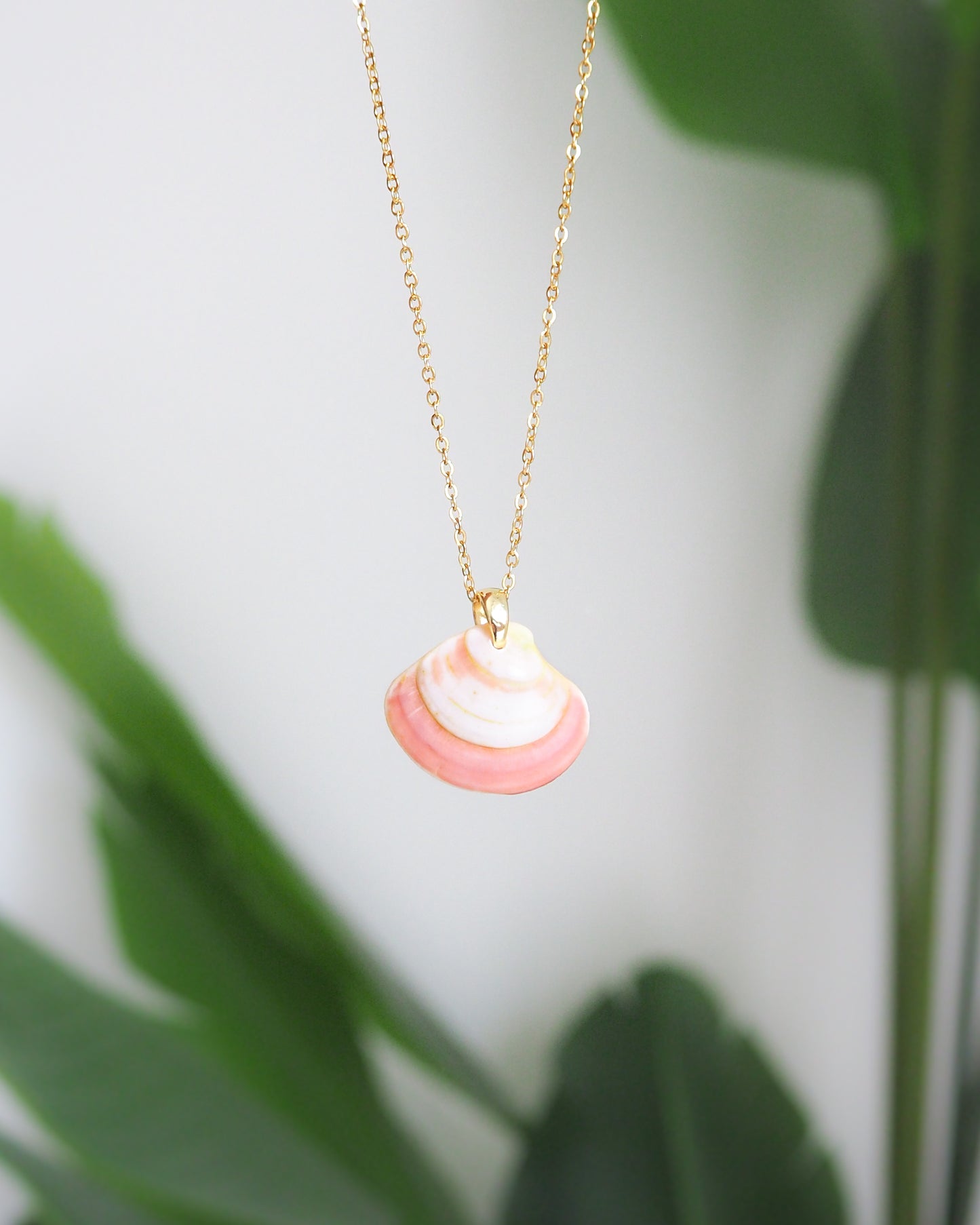Close up Pink White Venus Shell Gold Necklace from Portugal